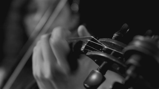 Female fiddler playing in black and white - Free Stock Video