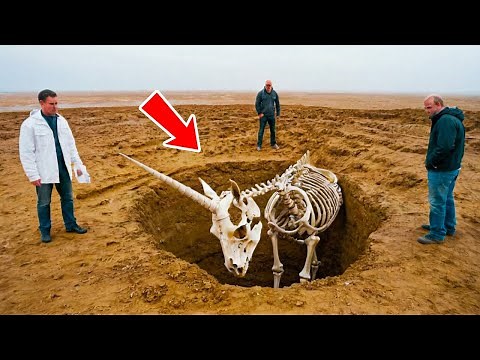 Le mythe des licornes démystifié : elles ont réellement existé