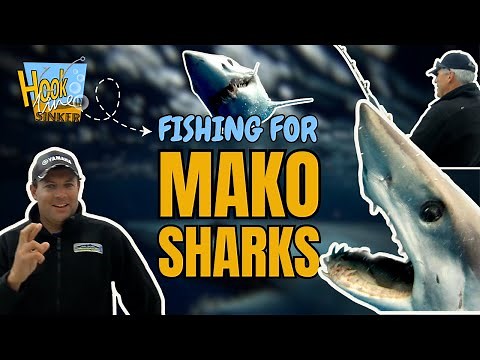 Mako Shark Hunt