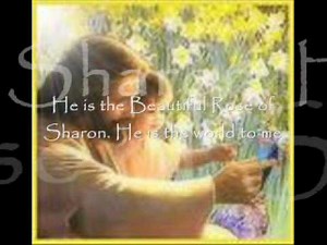 Tongan Gospel Song - LILLY OF THE VALLEY - Alipate Liava'a