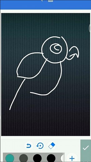 How to Draw a Bird | Easy Step by Step Tutorial