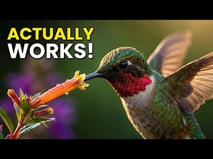 Hummingbird Plants That ACTUALLY WORK