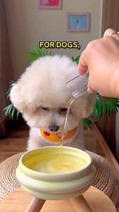 116K views · 7.2K reactions | THIS can clean your dog’s teeth 醴 Comment “teeth” and I’ll DM the  to you instantly! Or simply search “Dog Mouthwash “ on our site ✨ | Howlsyourday | Facebook