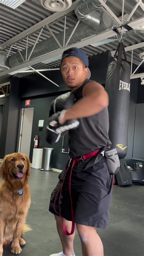 You know what time it is 1 min on 🥊 🔥 30 seconds off 💤 #coachdave #boxing #onlineclass #onlineboxing #onlinecoach #boxingmitts #boxing🥊 #boxingtraining #mitts