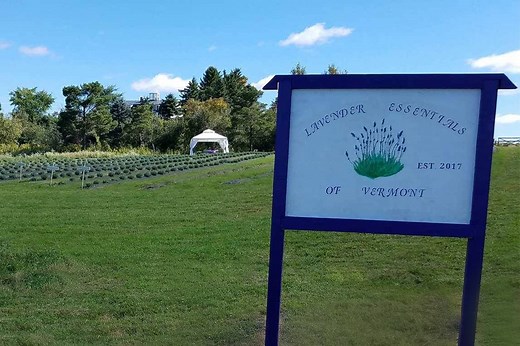 Our Farm — Lavender Essentials of Vermont