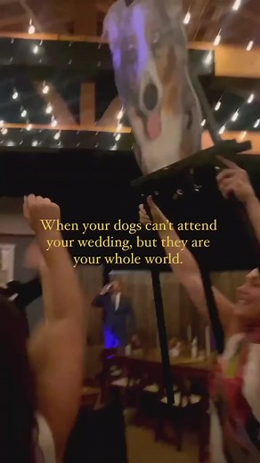Attention wedding-planning dog lovers! Looking to make your special day even more special? Let your pup play a part in the ceremony! Wedding planning doesn't have to be all stuffy and serious - add a bit of the unexpected and make your wedding memorable! 🎥: @laurapowersphoto via @fi.dogs #weddingphotography #stylemepretty #weddingplanner #weddinginspiration #eventplanning #weddingday #weddingideas #weddings #weddingstyle #weddingdetails #weddingdress #weddingvenue #realwedding #weddingceremony 