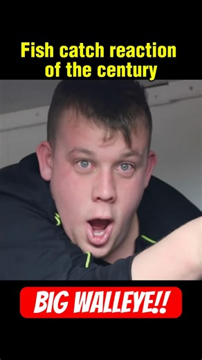 Giant Walleye while sleeping broke his brain 😆 #icefishing #icefishinglife #walleyefishing