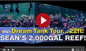 10K views · 196 reactions | Ryan and Randy give us a look under the...