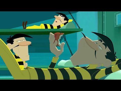Les Dalton | Les goûts et les couleurs | Compilation d'épisodes entiers en HD