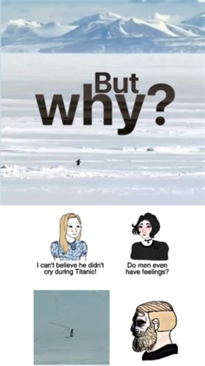 goat penguin on Instagram: "But why? The "Nihilist Penguin" refers to a famous scene from Werner Herzog's documentary Encounters at the End of the World, featuring a disoriented penguin that abandons its colony and heads inland towards the mountains, away from food and safety, seemingly without purpose, leading Herzog to muse on its existential crisis and its potentially fatal, non-conformist path. The term, while catchy, sparks debate, with some seeing pure nihilism and others interpreting it a