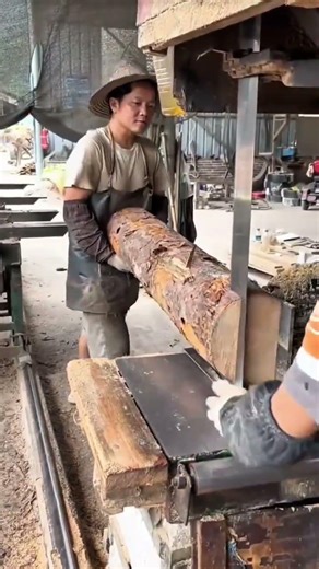 Cutting Large Wood Logs Using A Vertical Bandsaw For Smooth And Precise Woodwork Projects