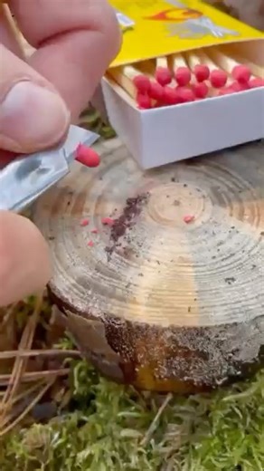 How to Light a Match Without the Box! 😳#campping #bushcraft #survival #diy