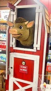 Fun first visit at Stew Leonard’s Worlds Biggest Dairy Store in Connecticut! #shopping #explore