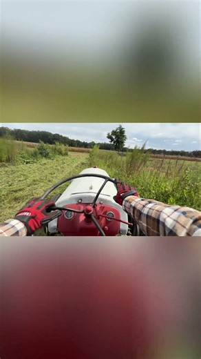 Satisfying Tractor Mowing: Watch Tall Grass Disappear! #shorts
