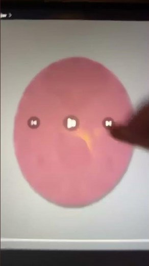 Lg logo 1995 effects