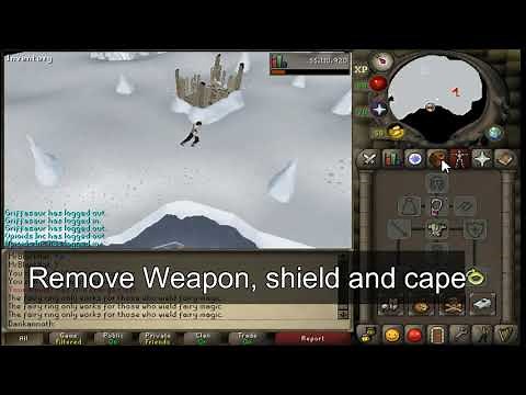 2 musical birds. Dig in front of the spinning light. (OSRS Master clue)