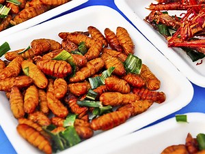 7 Reasons to Eat Insects