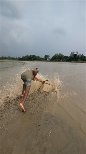 Rural Boys Catch Plenty of Fish from the River #reels #fish #kaari