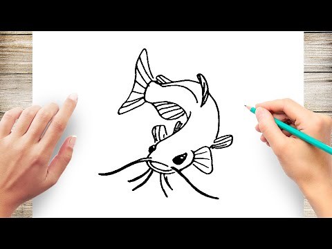 How to Draw CatFish Step by Step for Kids