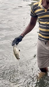 2.1M views · 19K reactions | Flour Power: Catching Fish with Maida Bait & DIY Traps #MaidaBaitFishing #DIYFishingTraps #RodReelTrapFishing #FlourPowerFishing #SurvivalFishingHacks | Kadal Raasa Fishing | Facebook