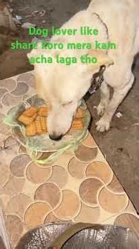 Bus app log ka Pyaar Chaiya 🫡