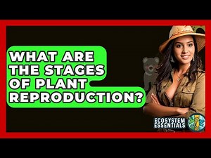 What Are The Stages Of Plant Reproduction? - Ecosystem Essentials