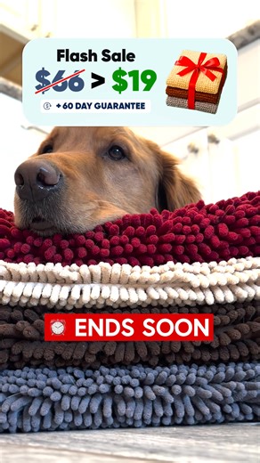 🐾Tired Of Pets Dragging Dirt and Mud Inside The Home? 🐾 🐱The Muddy Mat Is Perfect For Pets With Dirty Paws🐶 70% OFF For a Limited Time! | Muddy Mat