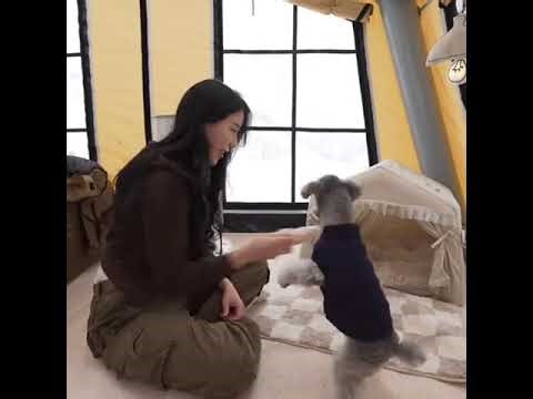 Pretty girl Camping in heavy snow in the mountains #pretty... #Shorts #girls.likecamping