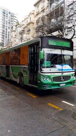 VAMOS ARGENTINA !!! 🇦🇷⭐️⭐️⭐️🏆⚽️ Linea 15 int. 1! (Favorito GR III "AMG", MB O500U) 19 Julio 2026