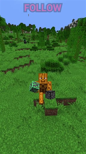 Rare Java blocks are common in Bedrock Edition! #minecrafttips #min...