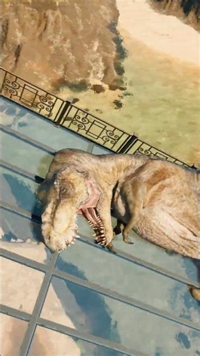 I was happy to see the Tyrannosaurus enjoying the slide.