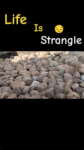 strangle life 59 day complete 💯 #stragle #life