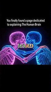 Why Do Couples Smell Each Other? 🤔 The Science of Love #shorts