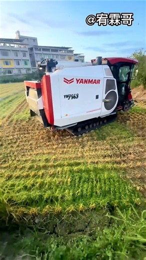 yanmar YH7143 rice harvester machine 🌾 #shorts #yanmar #harvester