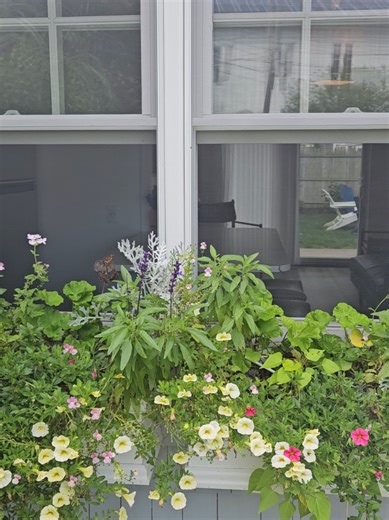 Transforming Window Boxes for Your Vacation Rental