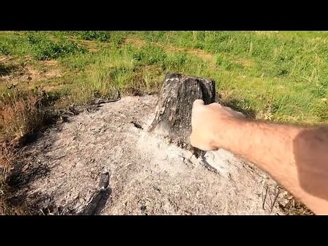 Incredible Cattle De-worming Method You Won't Believe!