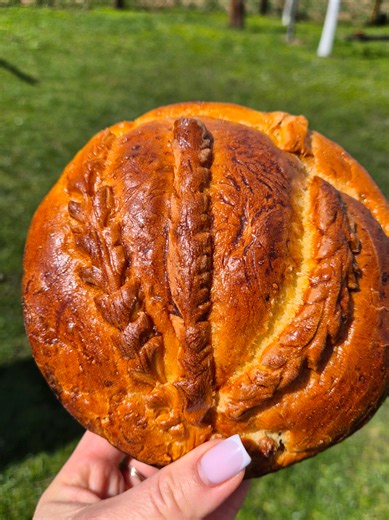 Відео користувача Руслана Галущак (@ruslana_h.m) з композицією «оригінальний аудіозапис - Руслана Галущак»