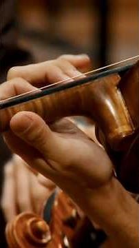 Sinfonía No. 2 | Jean Sibelius | Director, Andrés David Ascanio #ElSonido