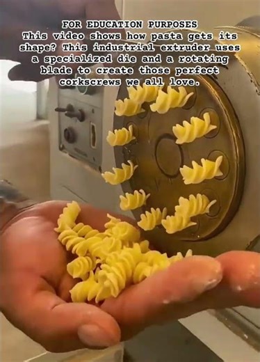 How Fusilli is Made #shorts #engineering #machine #automation #food #manufacturing #pasta