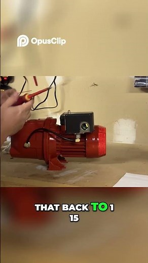 Easy Voltage Change Switching 230V to 115V on RED LION Pump!