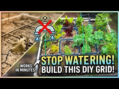 Save Time & Water! Easy DIY Raised Bed Watering Grid 🌿💦