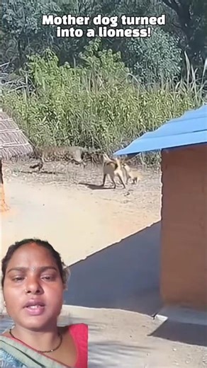 Mind_Blowing ? Gadgets 🔥And Tools_ Revealed 💯🇮🇳 #shorts #short #Gadgets Boost 167 #2025