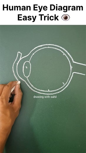 Sahil Khan on Instagram: "Tujhe yah najar kyu aata nahi 👁 #eye #eyes #humaneye #diagram #art #drawing #drawingwithsahil"