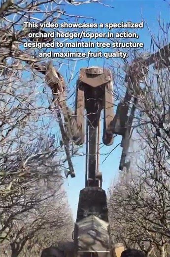 High-Efficiency Mechanical Tree Pruning in Modern Orchards