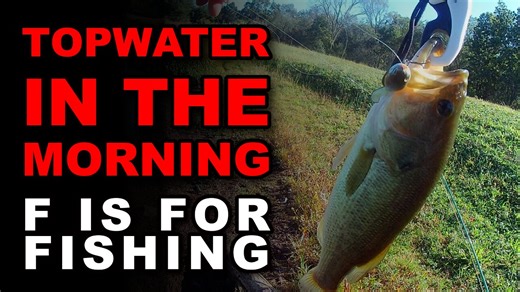 Topwater In The Morning