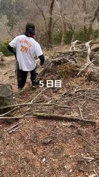 山奥に遺棄された21匹の猫(遺棄事件対応記録)