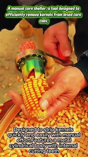 A manual corn sheller, a tool designed to efficiently remove kernels from dried corn cobs.