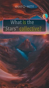 Collective Noun Quiz | Info-nity