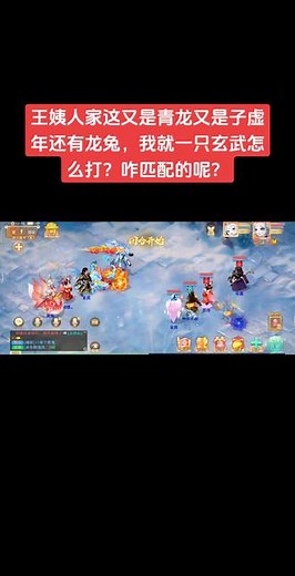 王姨人家这又是青龙又是子虚年还有龙兔，我就一只玄武怎么打？咋匹配的呢？#大话西游手游 #大话手游致富计划 #游戏日常