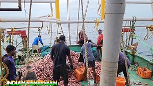 “In India, 15 tons of matchstick fish were obtained by trawling the net for 50 minutes using a trawler fishing boat.” Part 30 | Indianfisherman CV